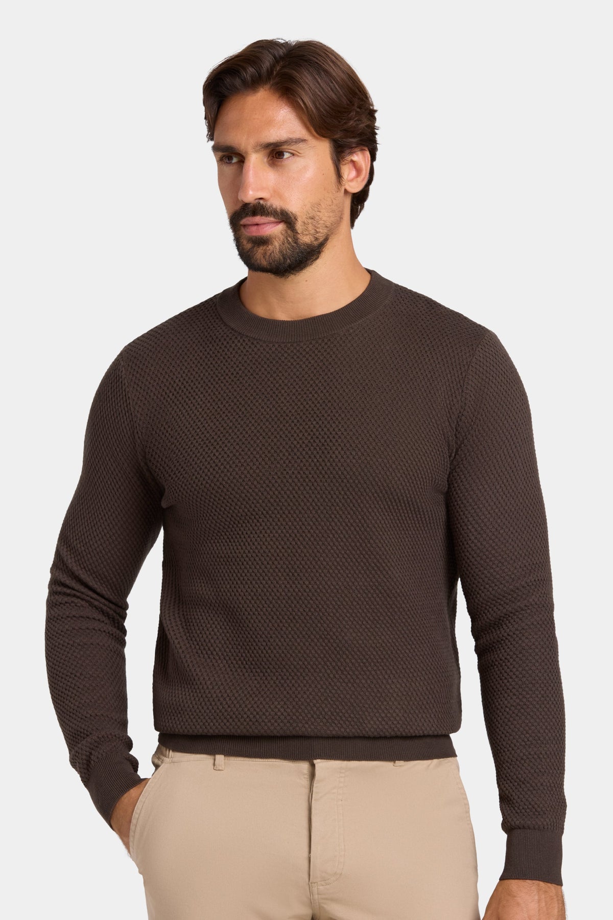 THE FABIO CREWNECK SWEATER